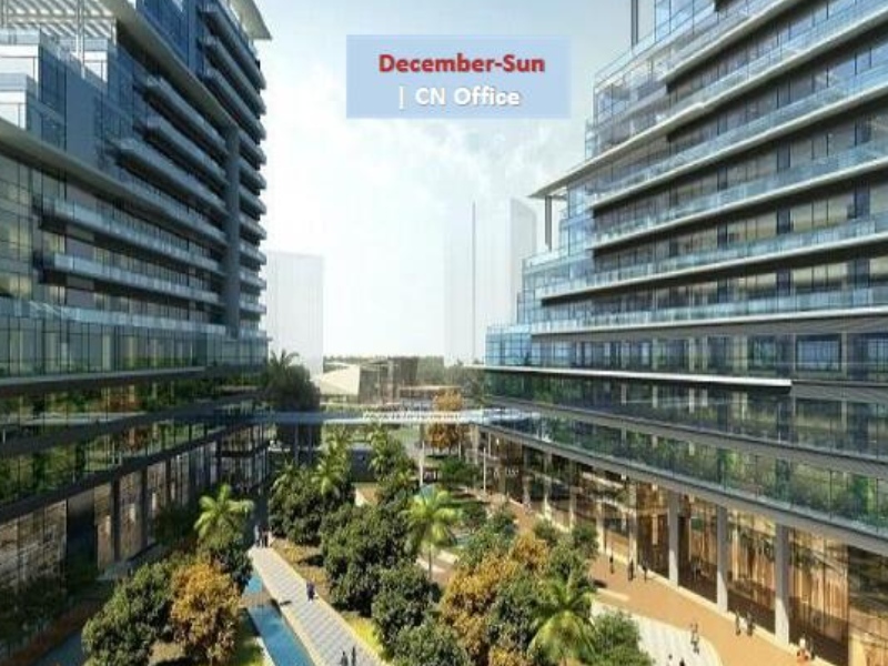 Dongguan December Sun International Co., Ltd.